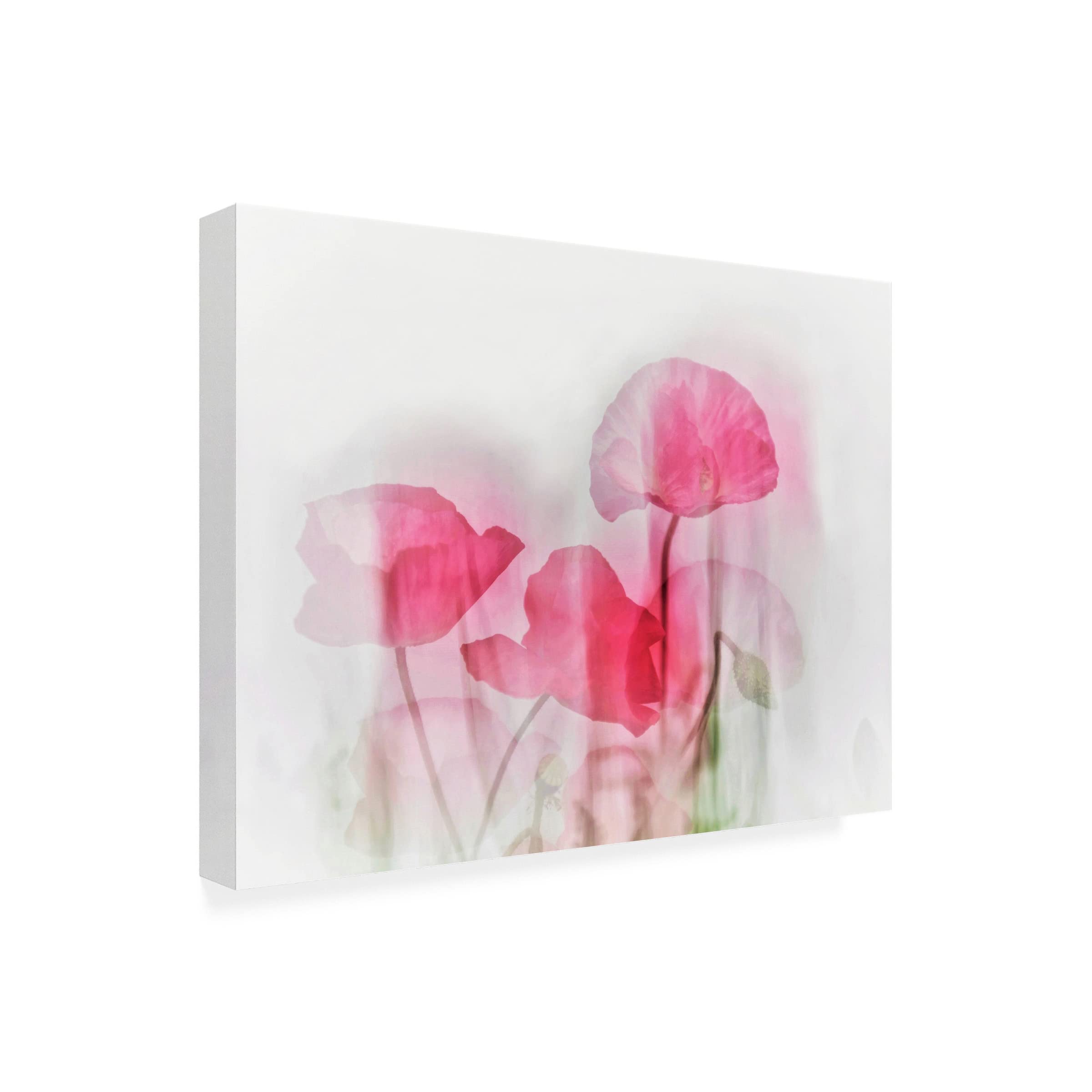 Trademark Fine Art 'Flowers' Canvas Wall Art by Cindy Liu - Elegant Floral Painting for Living Room, Bedroom & Office Decor