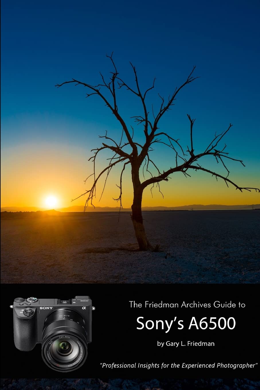The Friedman Archives Guide to Sony's Alpha 6500 Camera (Black & White Edition) - Perfect for Travel Photography, Street Shots & Creative Portraits