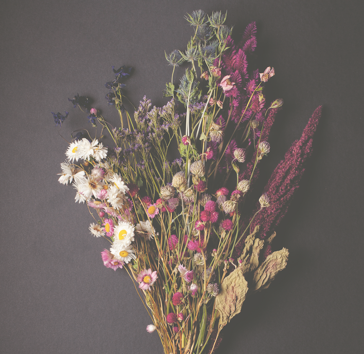 Cut and Dry: The Ultimate Guide to Growing, Drying & Styling Modern Dried Flowers for Home Decor, Weddings & DIY Crafts