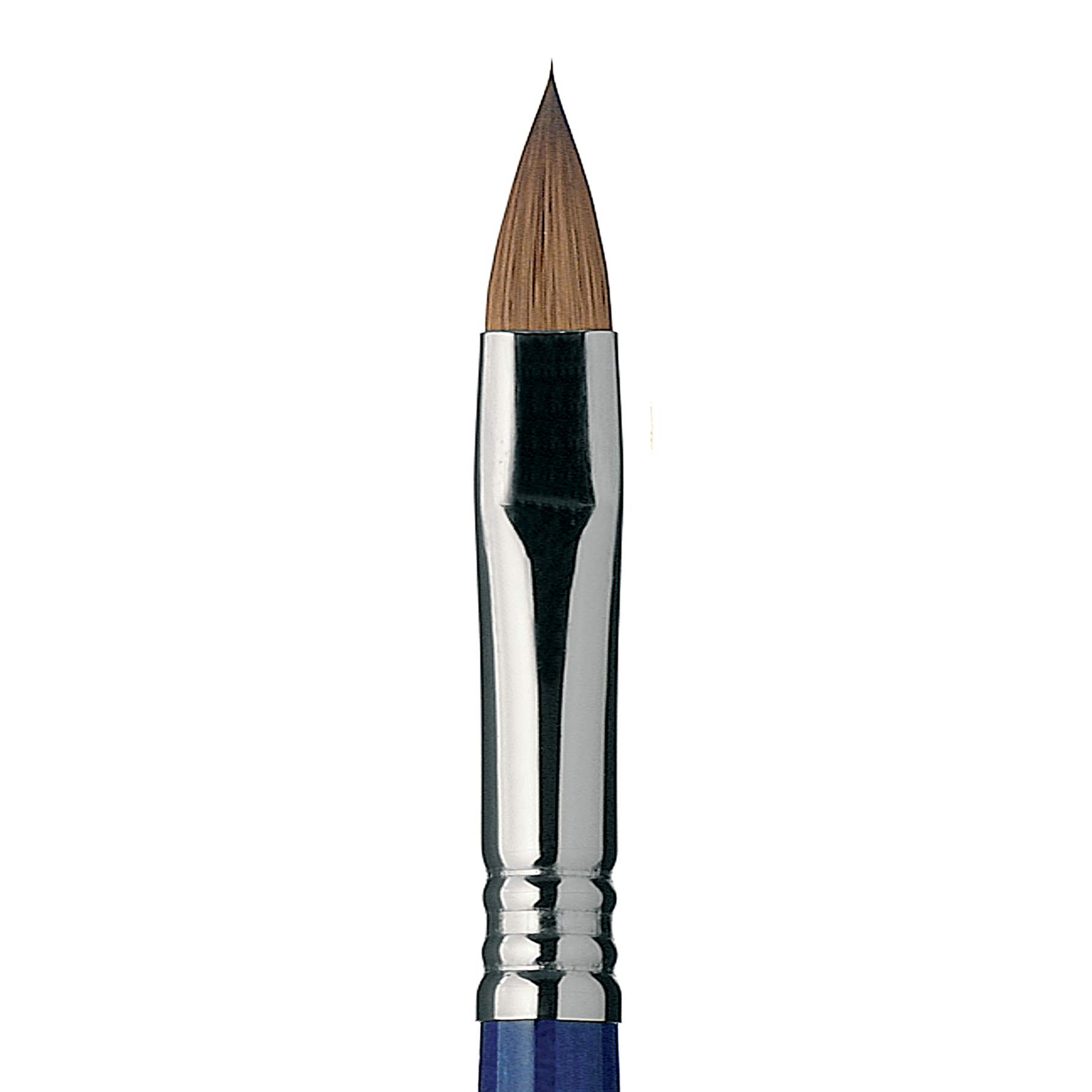 Speedball Escoda Optimo Series Size 14 Kolinsky Filbert Brush - Professional Artist Oil & Acrylic Paint Brush with Long Handle - Perfect for Canvas Painting, Portrait Art & Fine Detail Work