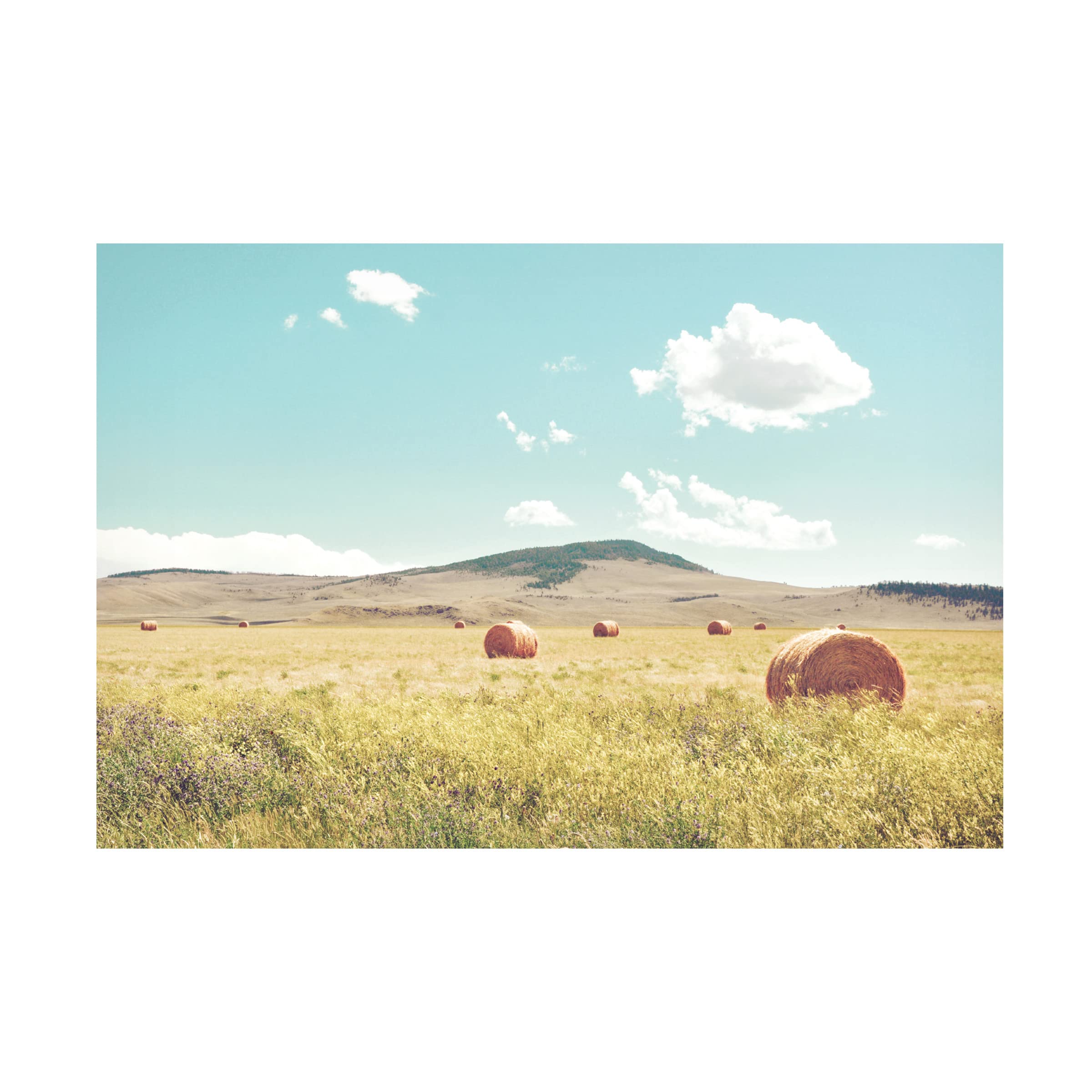 Annie Bailey Art 'A Day In The Fields' Canvas Wall Art Print - Farmhouse Landscape Painting for Living Room, Bedroom & Office Decor