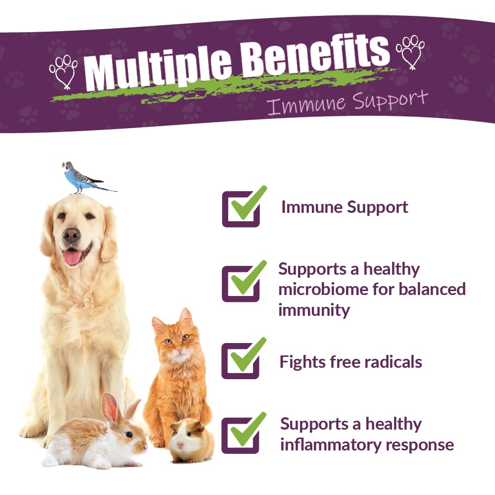Amber NaturalZ Vibactra Immune Support Herbal Supplement for Dogs, Cats, Birds, Guinea Pigs & Rabbits | Natural Pet Wellness Formula | 4oz USDA-Certified Organic Liquid Drops | Made in USA | Supports Digestion, Energy & Coat Health for Happy Pets at Home