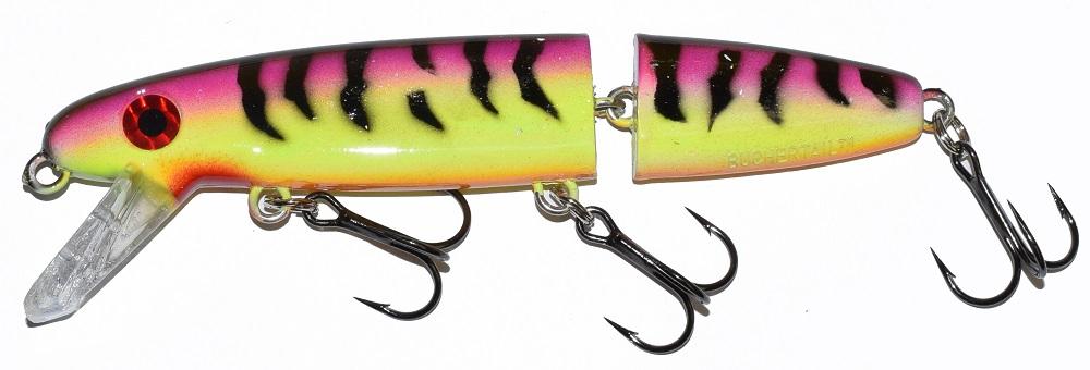 baitfish