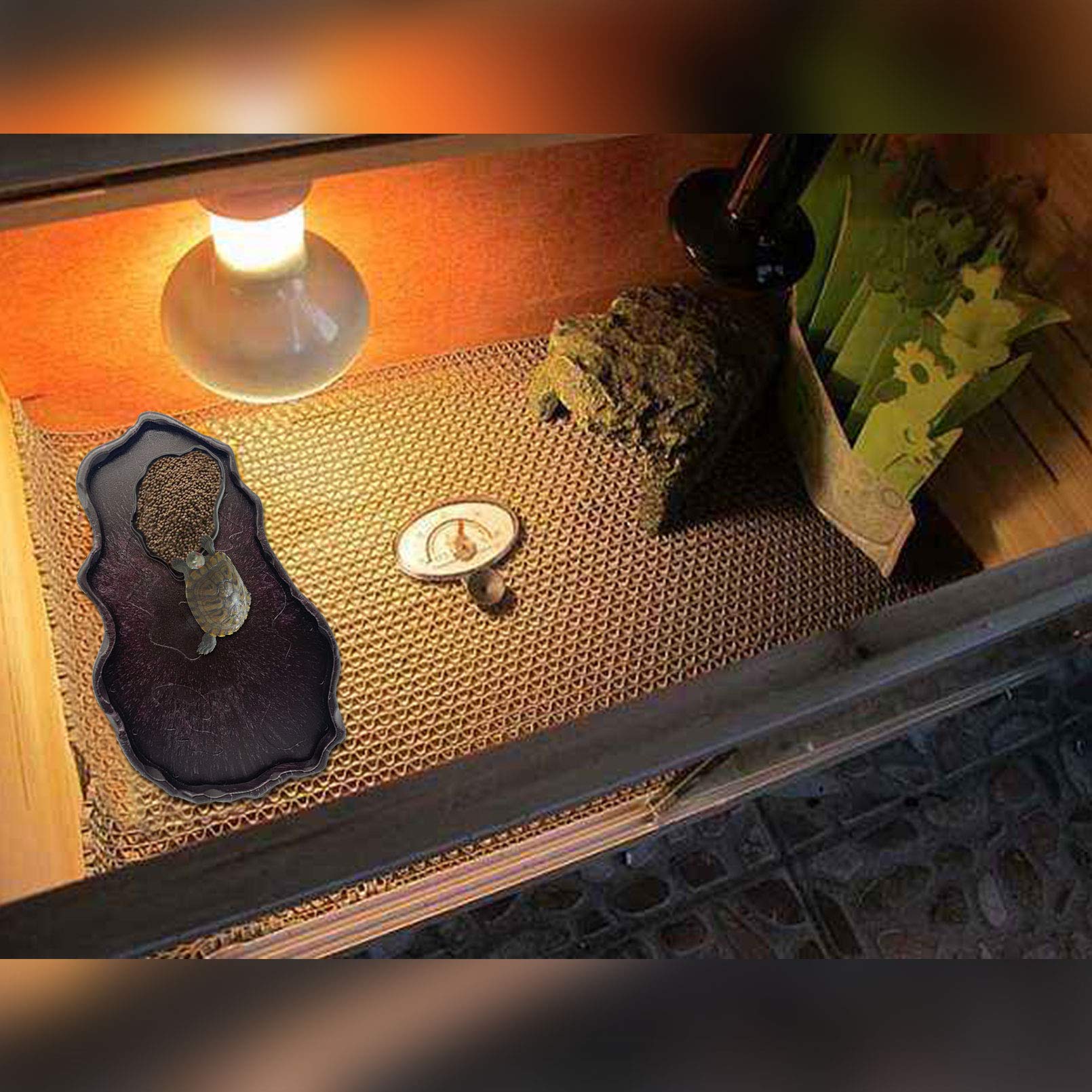 Luminous Reptile Food & Water Bowl Set - 2 Pcs Bearded Dragon Dishes, Tortoise Feeder & Lizard Habitat for Turtles, Geckos, Snakes, Iguanas | Durable Amphibian Feeding Plates for Terrarium Decor - Perfect for Nighttime Feeding & Easy Cleaning