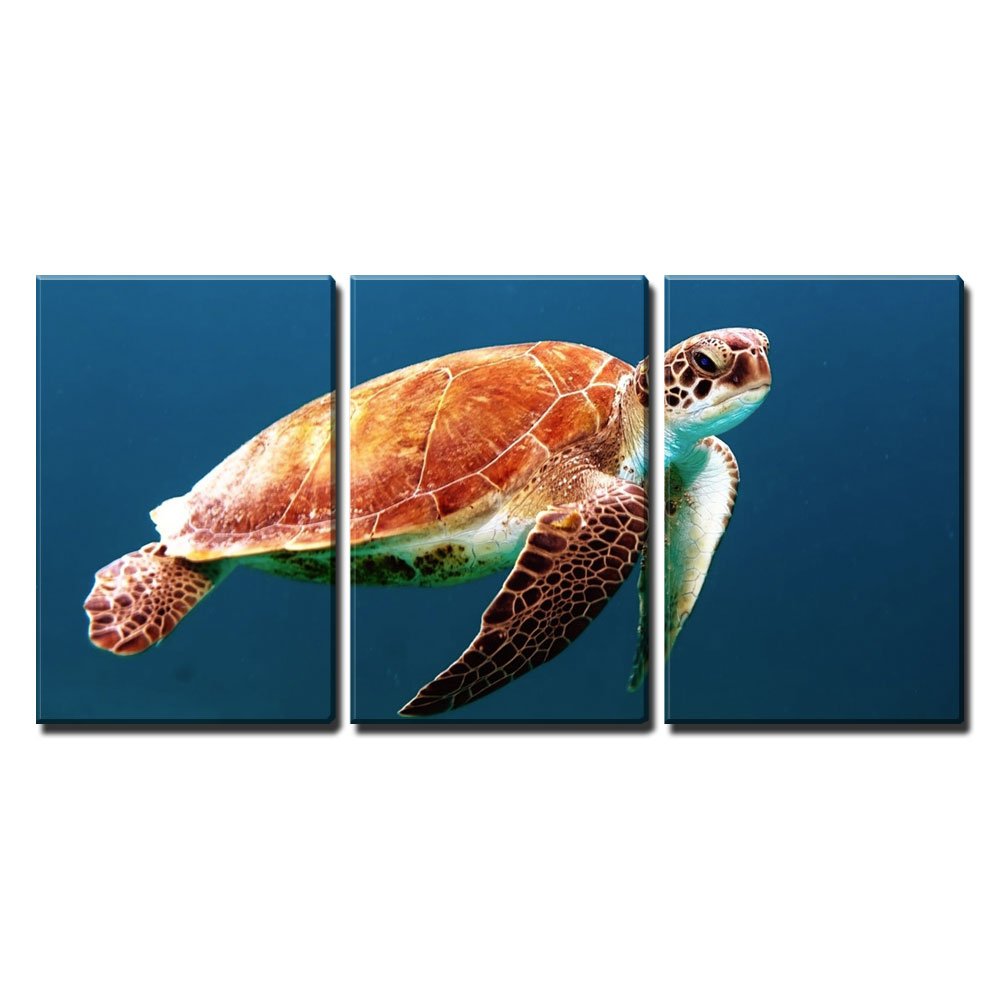 Wall26 - 3 Piece Canvas Wall Art Set - Sea Turtle Swimming Under The Ocean - Modern Framed Home Decor - Stretched & Ready to Hang - 24x36 Inches (3 Panels) - Perfect for Living Room, Bedroom or Office Decor