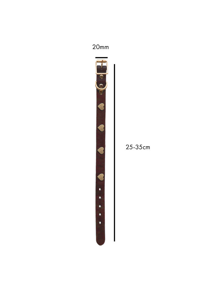 Premium Brown Leather Dog Collar with Heart Decor - Adjustable Sizes (XS-XL) for Small to Large Dogs | Perfect for Walks, Training & Fashion Accessories