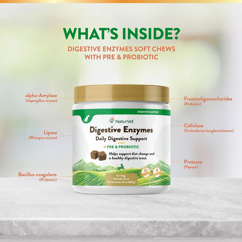 Digestive Enzymes Powder with Probiotics for Dogs & Cats - Supports Gut Health & Digestion - Ideal for Sensitive Stomachs & Food Allergies