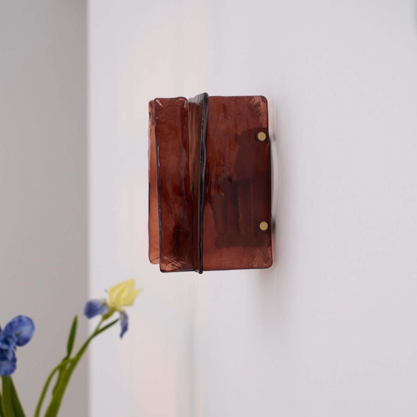 Blason Wall Light - Modern Sconce Lighting for Living Room, Bedroom, and Hallway - Dimmable LED Wall Lamp for Home Decor and Ambiance