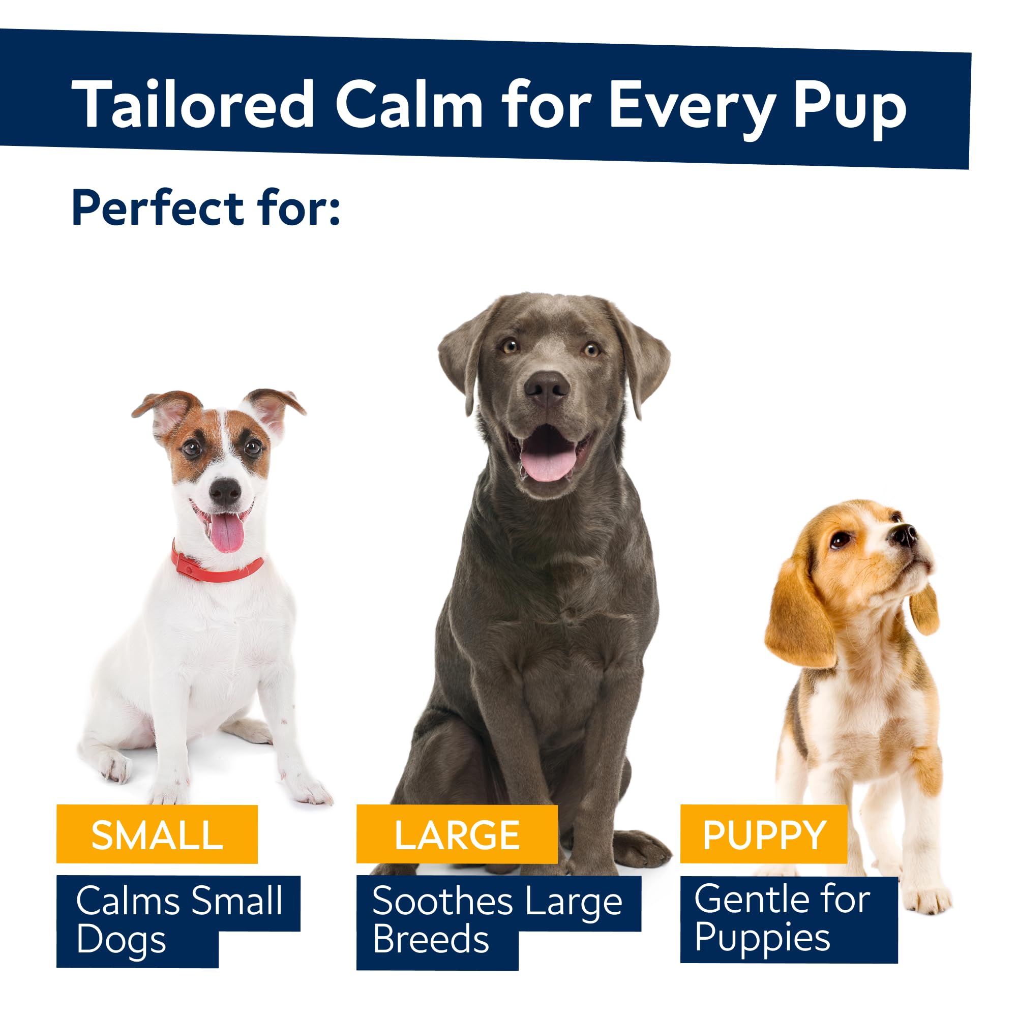 Natural Hemp Calming Chews for Dogs with Melatonin & Hemp Oil - Anxiety Relief Treats for Separation, Barking, Thunderstorms & Stress - Advanced Dog Calming Supplement - 120 Count Bacon Flavor - Perfect for Travel, Vet Visits & Fireworks Anxiety