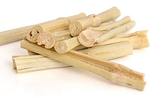 Natural Bamboo Stick Teeth Chewing Treats for Rabbits, Bunnies, Chinchillas, Guinea Pigs, Sugar Gliders & Small Pets (600g) - Healthy Dental Care & Stress Relief for Caged Animals