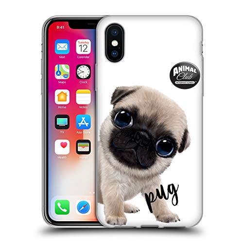 Pug