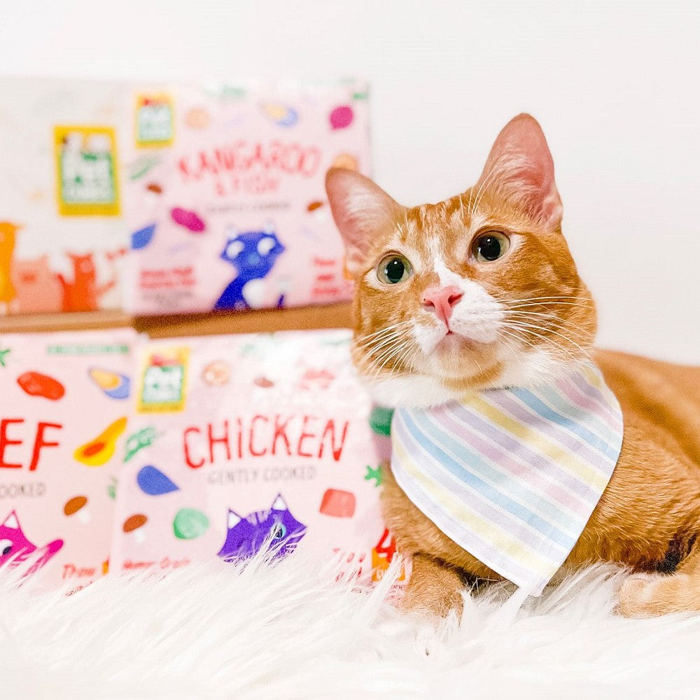 Premium Frozen Human-Grade Gently Cooked Chicken Cat Food for Adult Cats - High Protein Meal for Indoor & Outdoor Felines