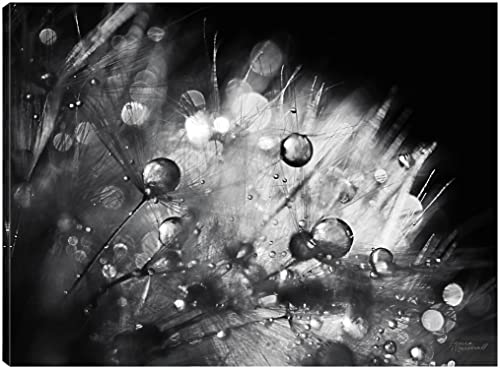 Dandelion Abstract I