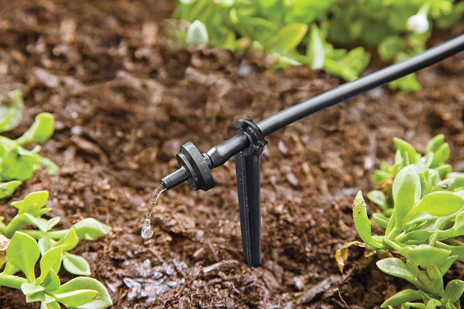 Raindrip R560DP Automatic Drip Irrigation Kit with Timer - Adjustable Watering System for 20 Plants, Includes 20 Drippers - Perfect for Containers, Hanging Baskets, Potted Plants & Garden Beds (Black)