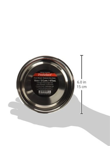 ProSelect Dura-Weight Stainless Steel Pet Bowls - 1-Pint Durable Dog & Cat Food Dishes for Wet/Dry Meals | Rust-Proof, Easy-Clean Design for Indoor/Outdoor Use