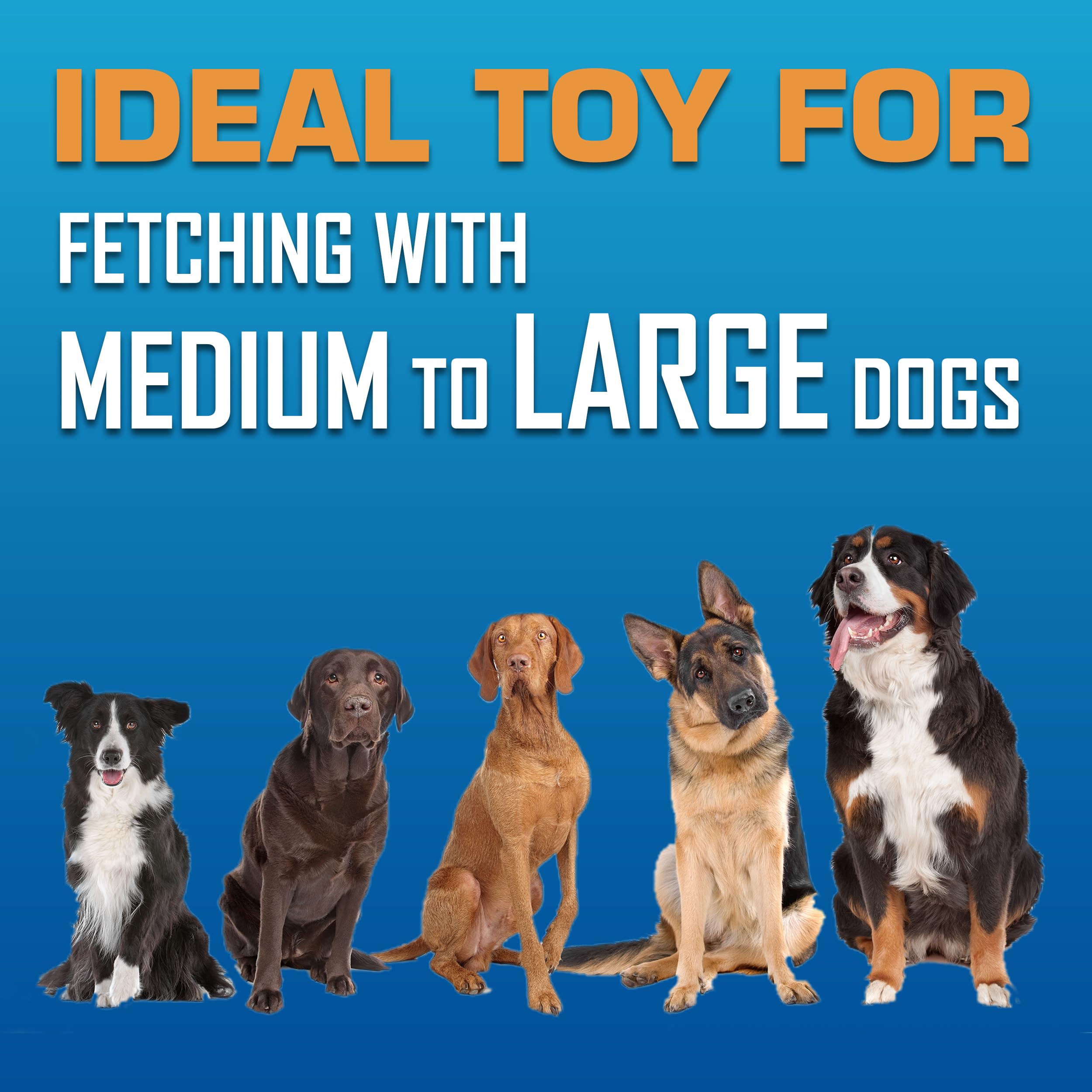 Nerf Dog Atomic Flyer - 10 Inch Durable Rubber Flying Disc Dog Toy for Medium & Large Breeds - Perfect for Outdoor Fetch, Beach Play & Backyard Training - Green