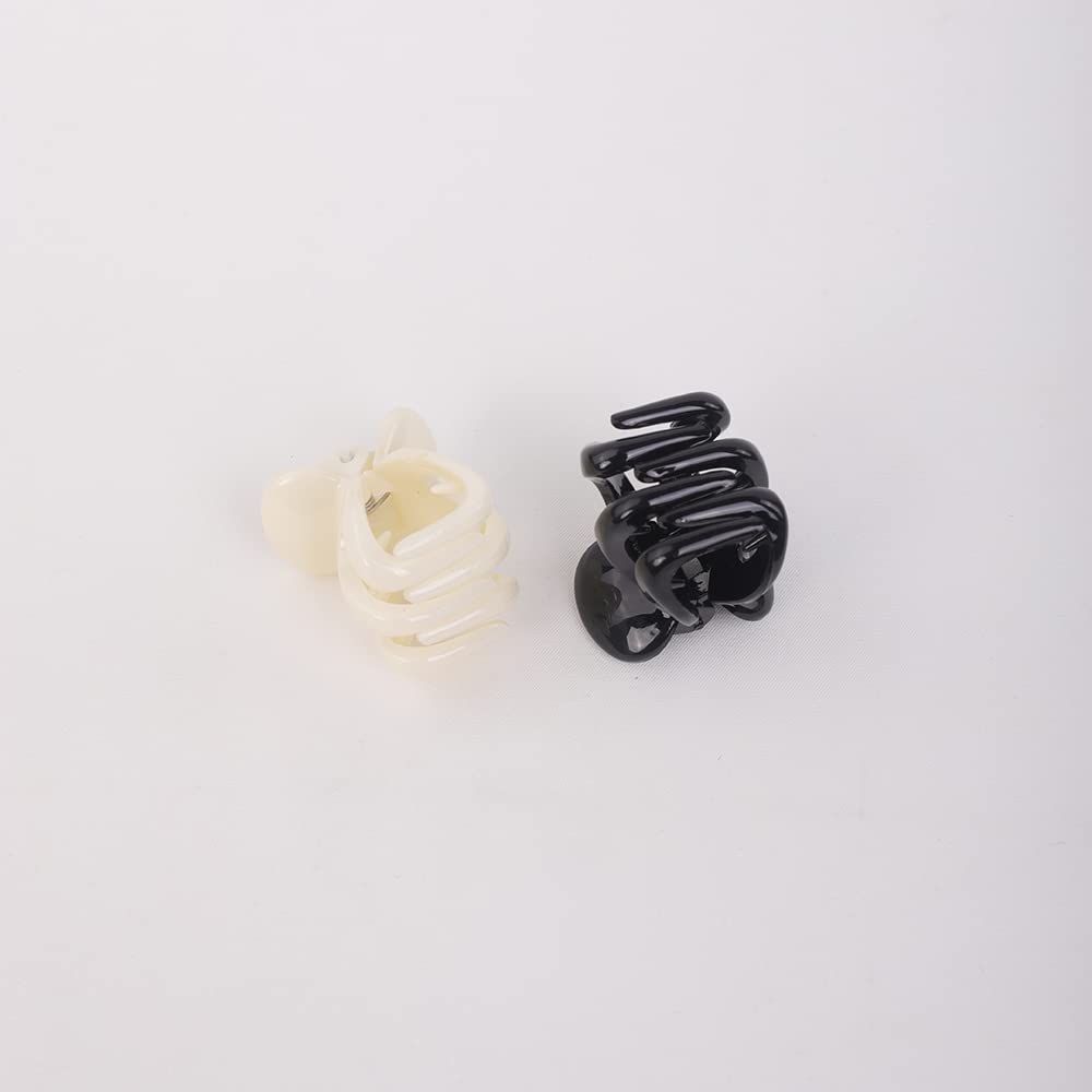 Jumwrit Mini Hair Claw Clips for Women - Strong Hold Jaw Clips for Thin & Thick Hair - Fashion Hair Accessories (2PCS) - Perfect for School, Work & Everyday Styling