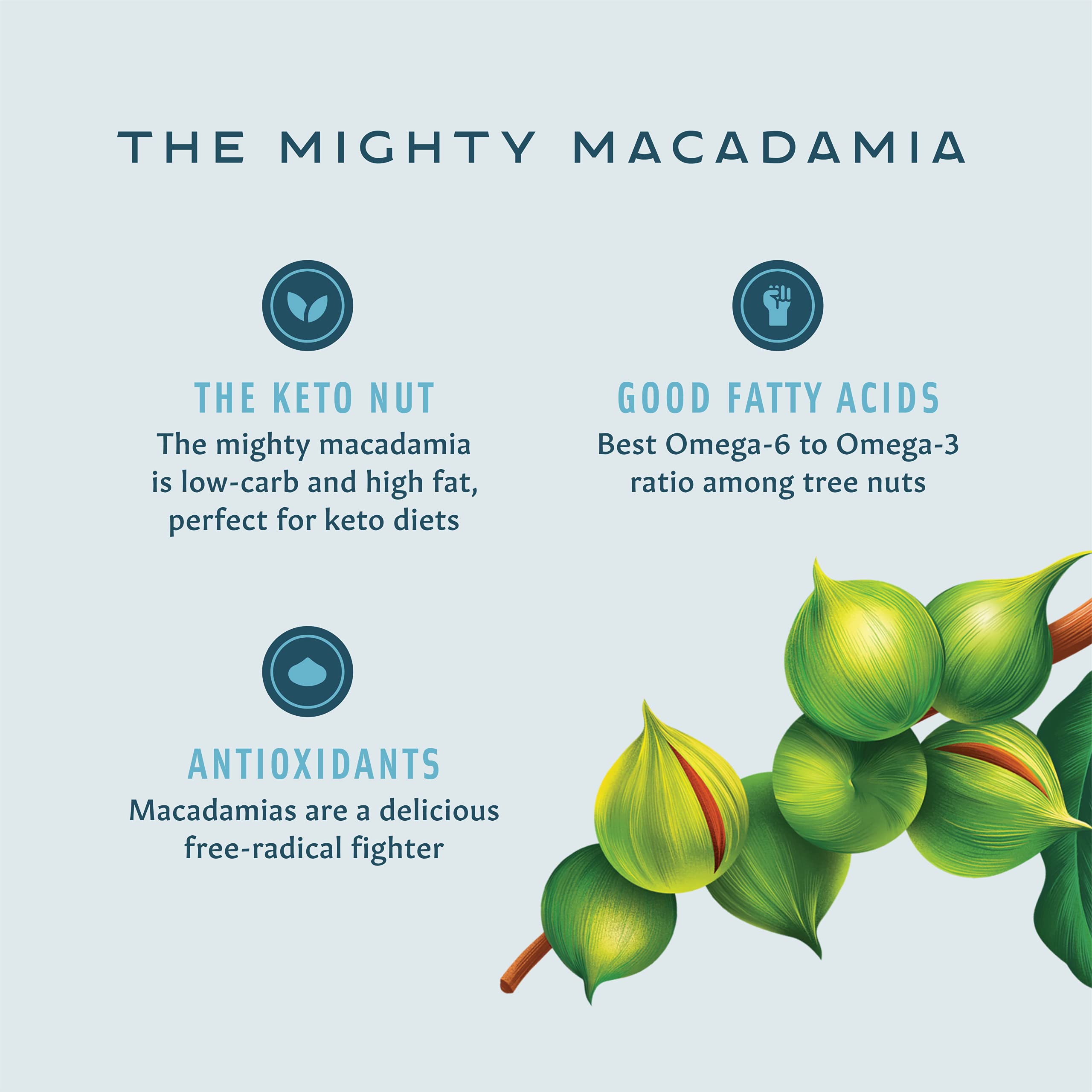 Mauna Loa Premium Roasted Macadamia Nuts with Sea Salt - 4oz Bag | Hawaiian Snacks, Keto-Friendly & Gluten-Free | Perfect for Gifts, Parties & Healthy Snacking