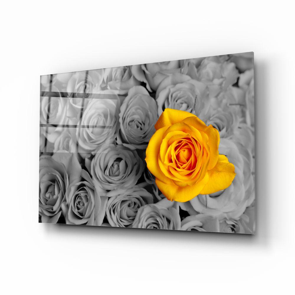 Yellow Rose - Fresh Cut Flowers for Home Decor, Weddings & Special Occasions | Premium Quality Roses for Bouquets & Gifts