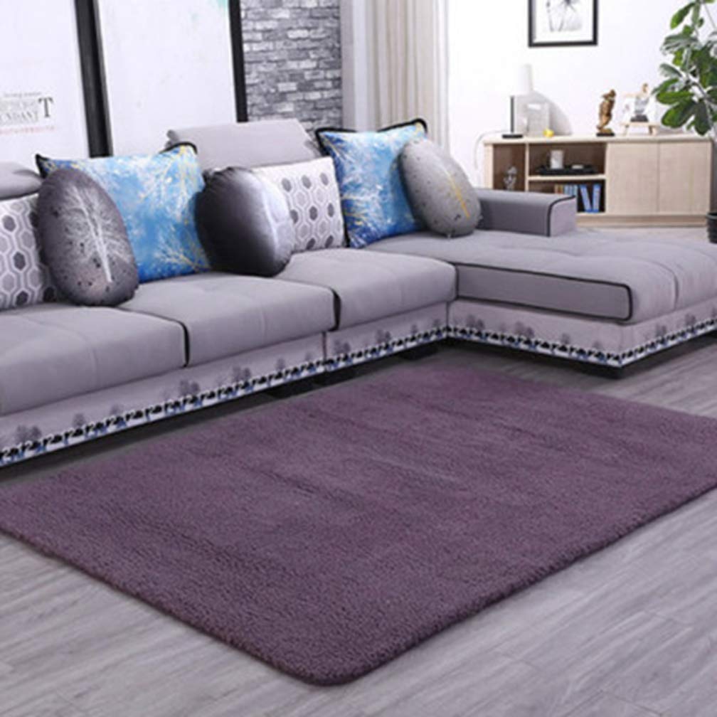 Premium Soft Shag Area Rug - Non-Slip Plush Rectangular Carpet for Living Room, Bedroom & Nursery - Modern Home Decor Indoor/Outdoor Runner (3'x6', Plum) - Perfect for Cozy Spaces, Kids Play Areas & High-Traffic Zones