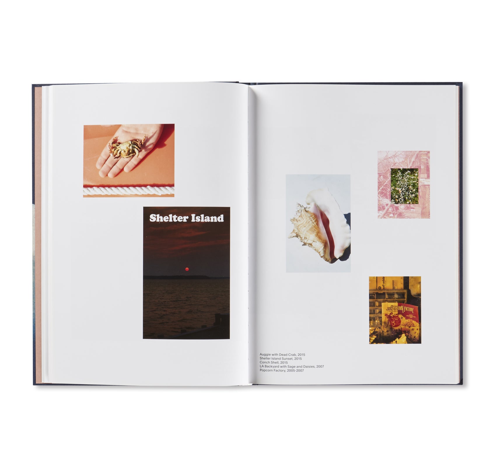 NEIGHBORS by Roe Ethridge - Contemporary Art Photography Book for Collectors & Enthusiasts - Perfect for Home Decor, Gallery Displays & Art Lovers