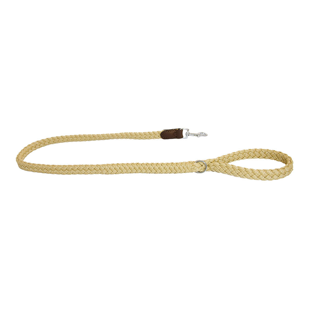 EARTHBOUND Soft Braided Nylon Dog Leash - Durable & Comfortable Pet Walking Lead for Small Medium Large Dogs - Perfect for Daily Walks, Hiking & Outdoor Adventures