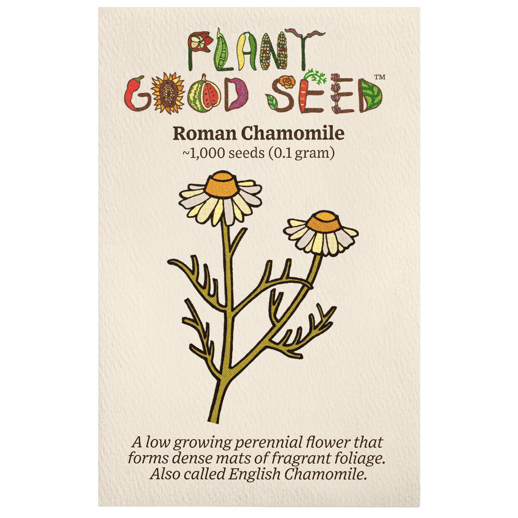 Organic Roman Chamomile Seeds - 1000 Heirloom Non-GMO Flower Seeds for Planting | Gardening Supplies for Herb Garden, Wildflower Meadow & Outdoor Planting | Perfect for Tea Making, Aromatherapy & Natural Remedies - Grown in USA