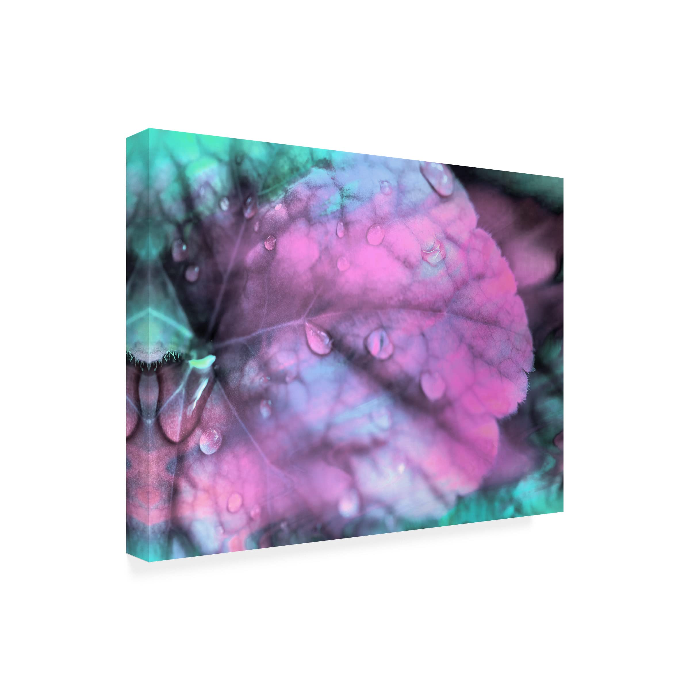 Trademark Fine Art 'Celestial Dew Drops III' Canvas Wall Art by Eva Bane - Modern Abstract Painting for Living Room, Bedroom & Office Decor