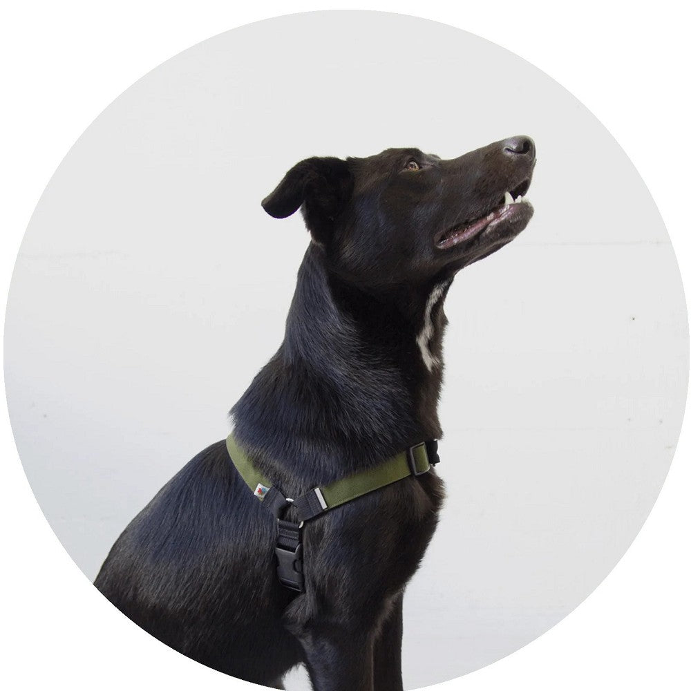 No Pull Dog Harness - Adjustable Reflective Pet Vest for Small Medium Large Dogs - Comfortable Breathable Walking Harness for Training, Hiking & Outdoor Adventures