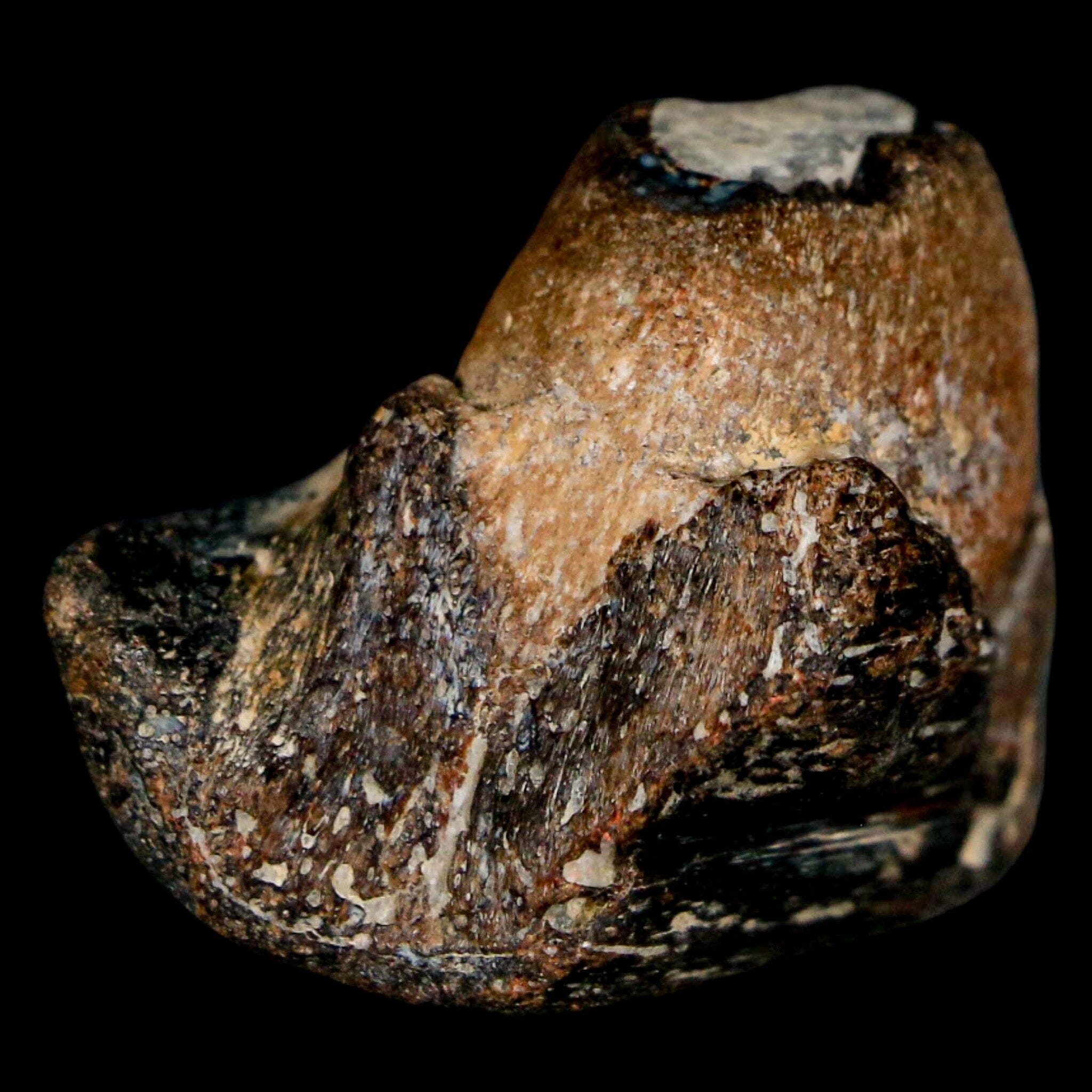 1.5