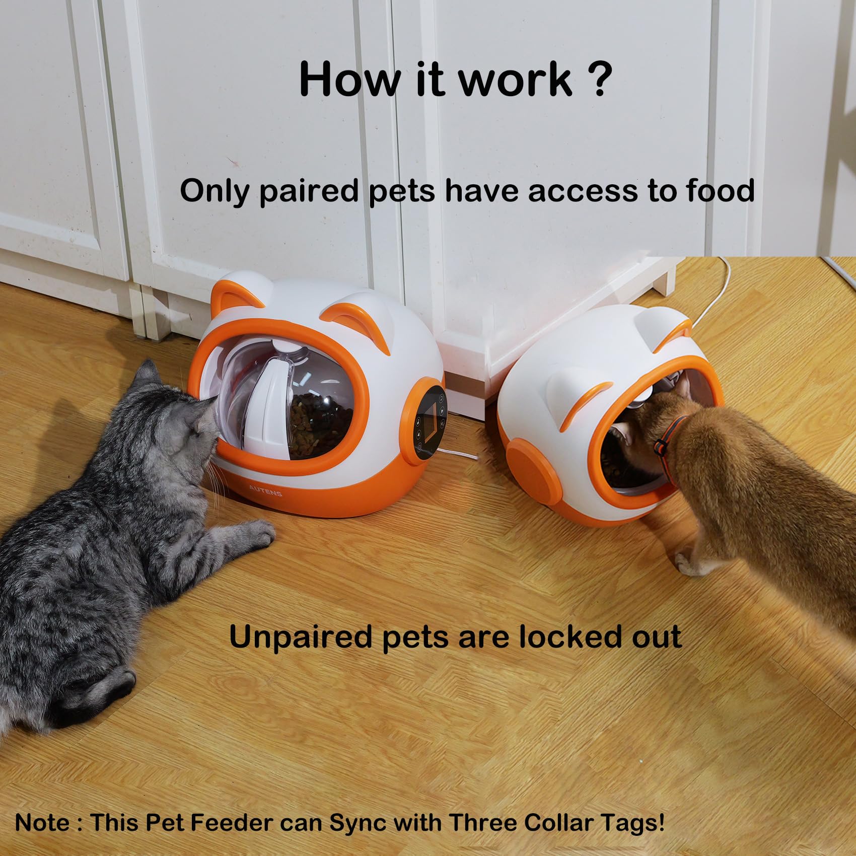 AUTENS RFID Automatic Cat Feeder - Smart Pet Food Dispenser for Cats & Small Dogs with Light Collar Tag - Separate Diet Control & Anti-Food Theft - Perfect for Multi-Pet Homes & Busy Pet Owners