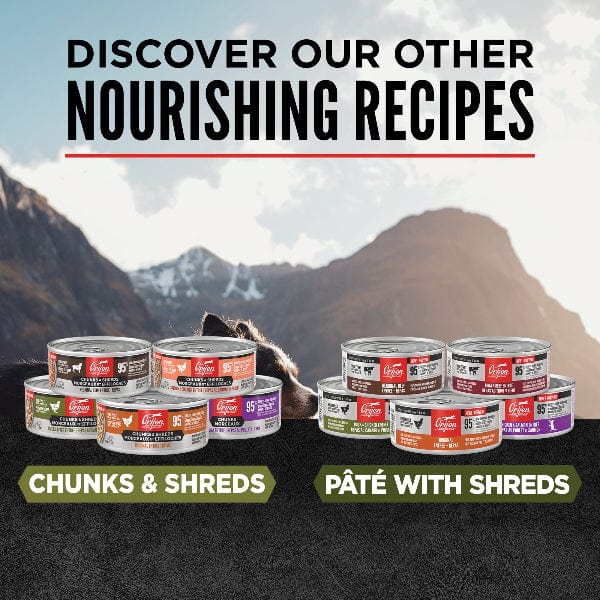 Orijen Duck & Chicken Chunks & Shreds Entrée Canned Cat Food - Grain Free, High Protein Wet Cat Food for Adult Cats - 5.5oz Can (Pack of 12) - Perfect for Picky Eaters & Mealtime Enrichment