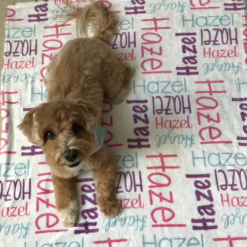 Hazel208