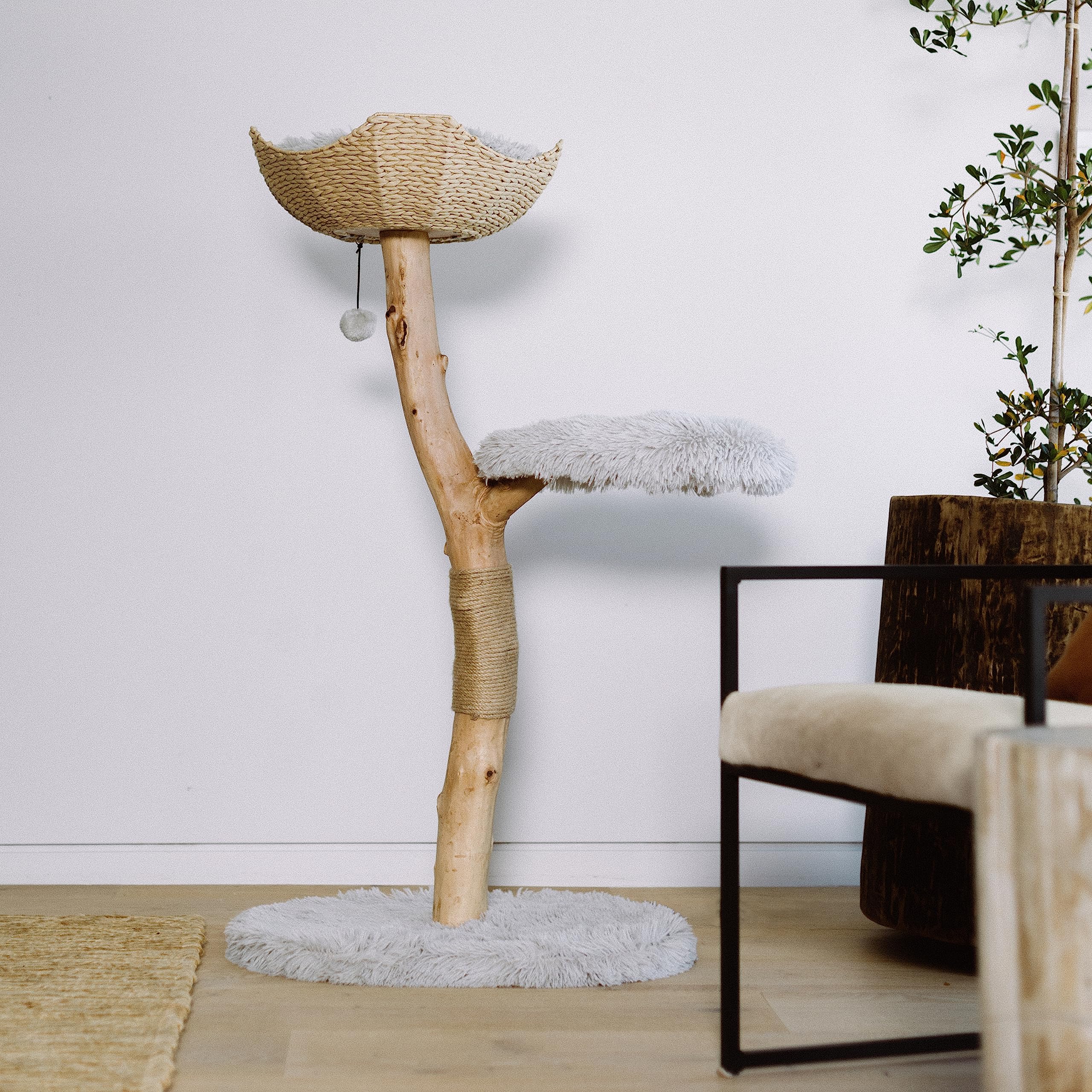 Modern Wooden Cat Tree Tower with Single Branch Condo - Natural Wood Cat Climbing Furniture for Indoor Cats - Perfect Cat Lover Gift for Home & Office - MAU LIFESTYLE (Bullet Gray) - Great for Play, Exercise & Relaxation