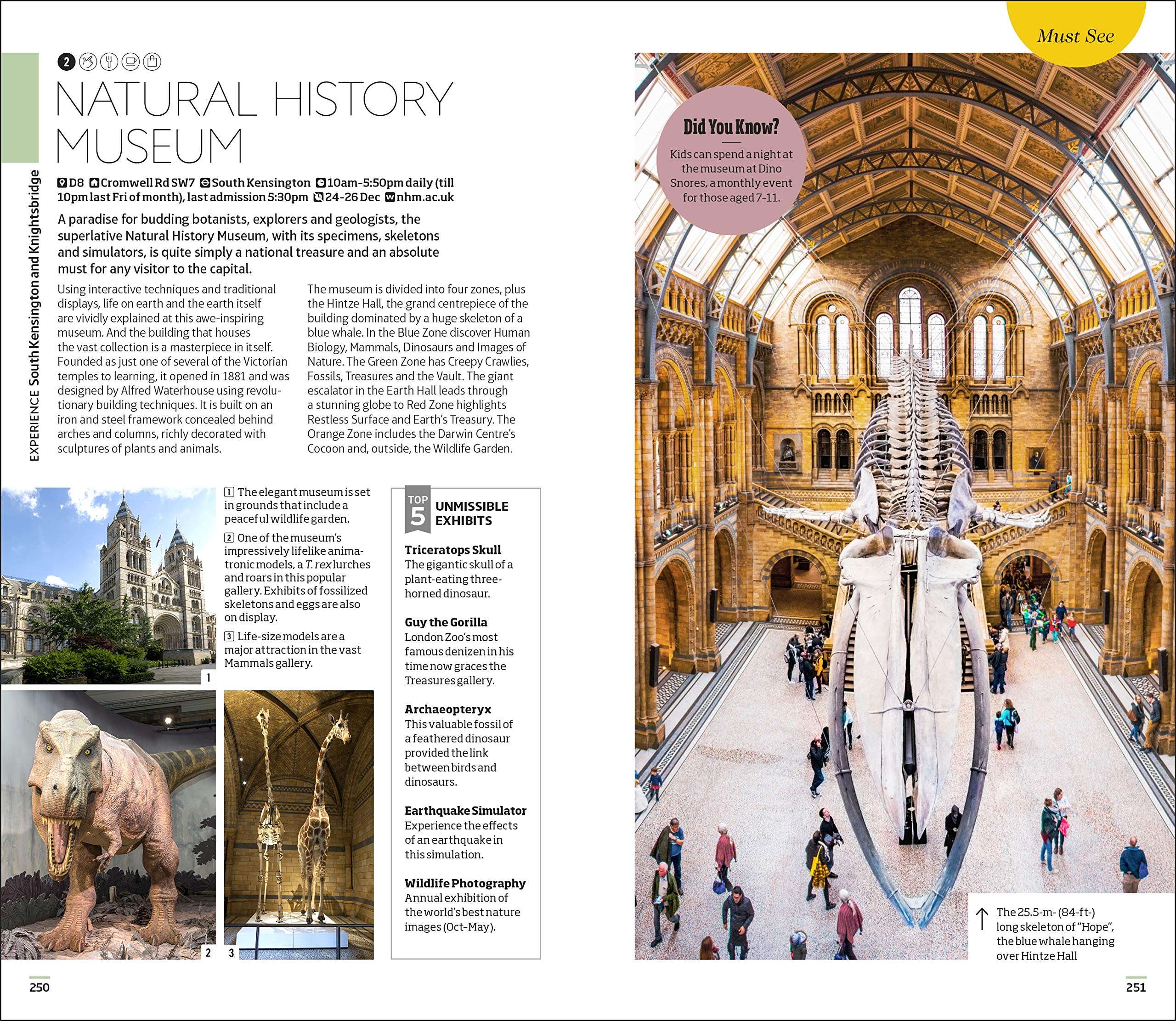 DK London Travel Guide - Explore Top Attractions, Maps & Insider Tips | Perfect for Tourists & City Explorers