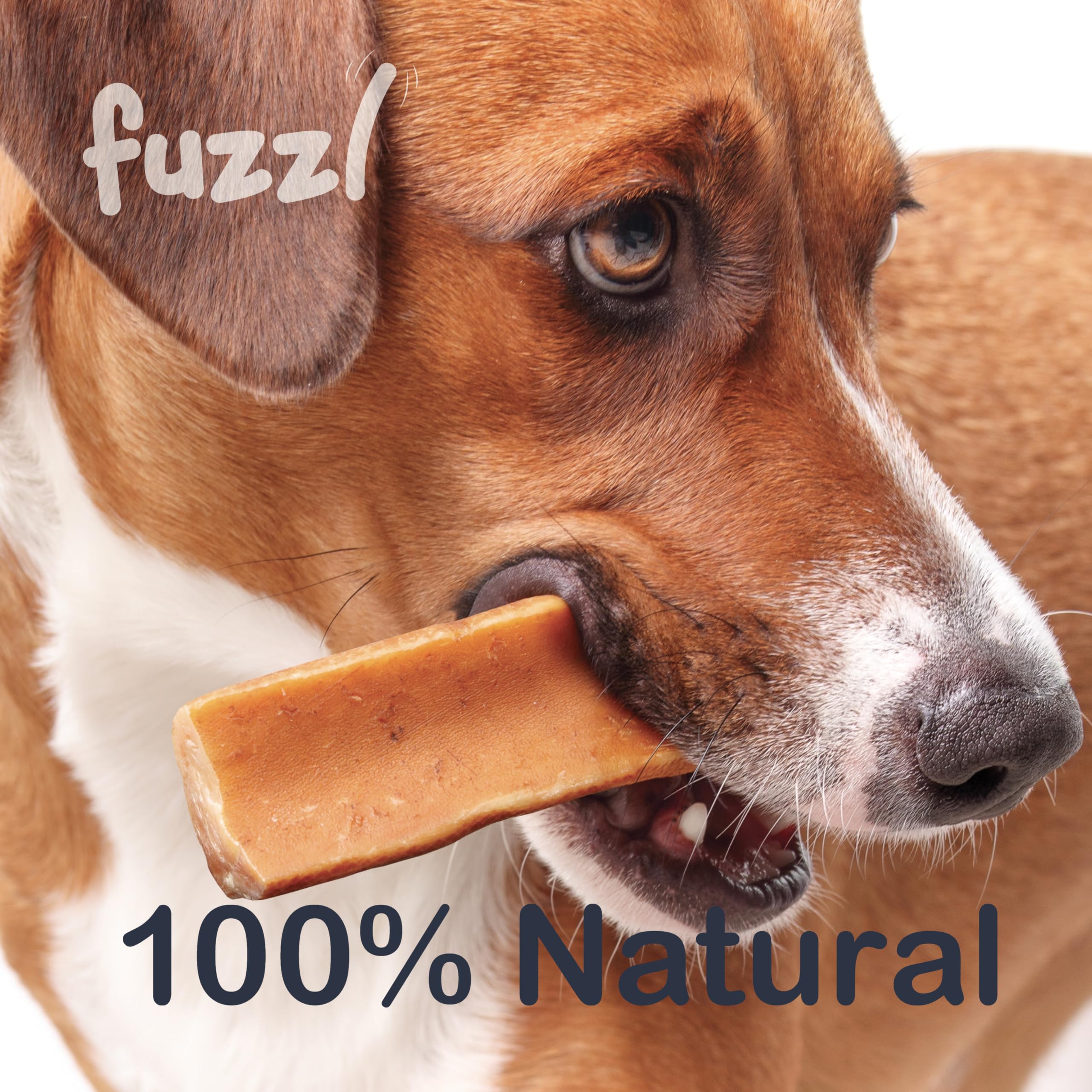 Premium Himalayan Yak Cheese Dog Chews with Turmeric Superfood - 6 Pack Natural Long-Lasting Dental Treats for Small Dogs | Healthy Alternative to Milkbone & Hide Chews | Perfect for Teething, Training, and Dental Care