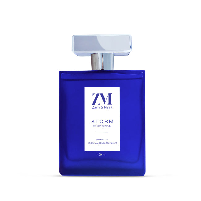 Storm Cologne for Men - 100ml Eau de Toilette Spray | Long-Lasting Fragrance for Day & Night, Work & Special Occasions