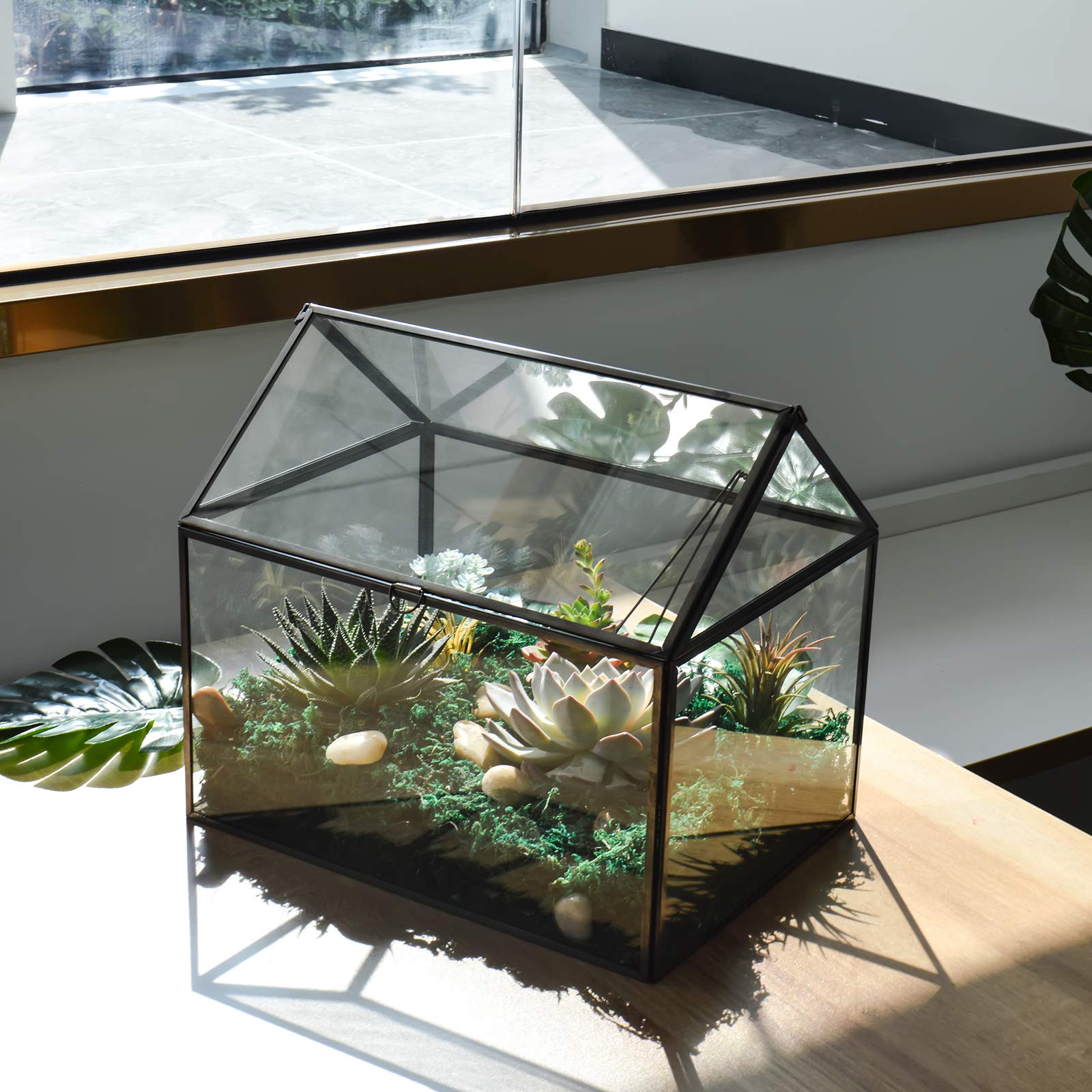 Large Glass Plant Terrarium Kit for Succulents - Black House Greenhouse Terrarium with Lip | Perfect for Indoor Plants, Home Decor & Office Desk Decorations