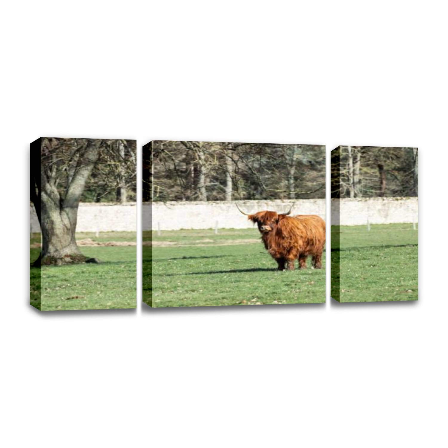 Highland Cow Canvas Wall Art - Modern Farmhouse Painting for Living Room & Bedroom Decor - Scottish Cattle Pasture Landscape Print - Perfect for Home, Office, or Gift