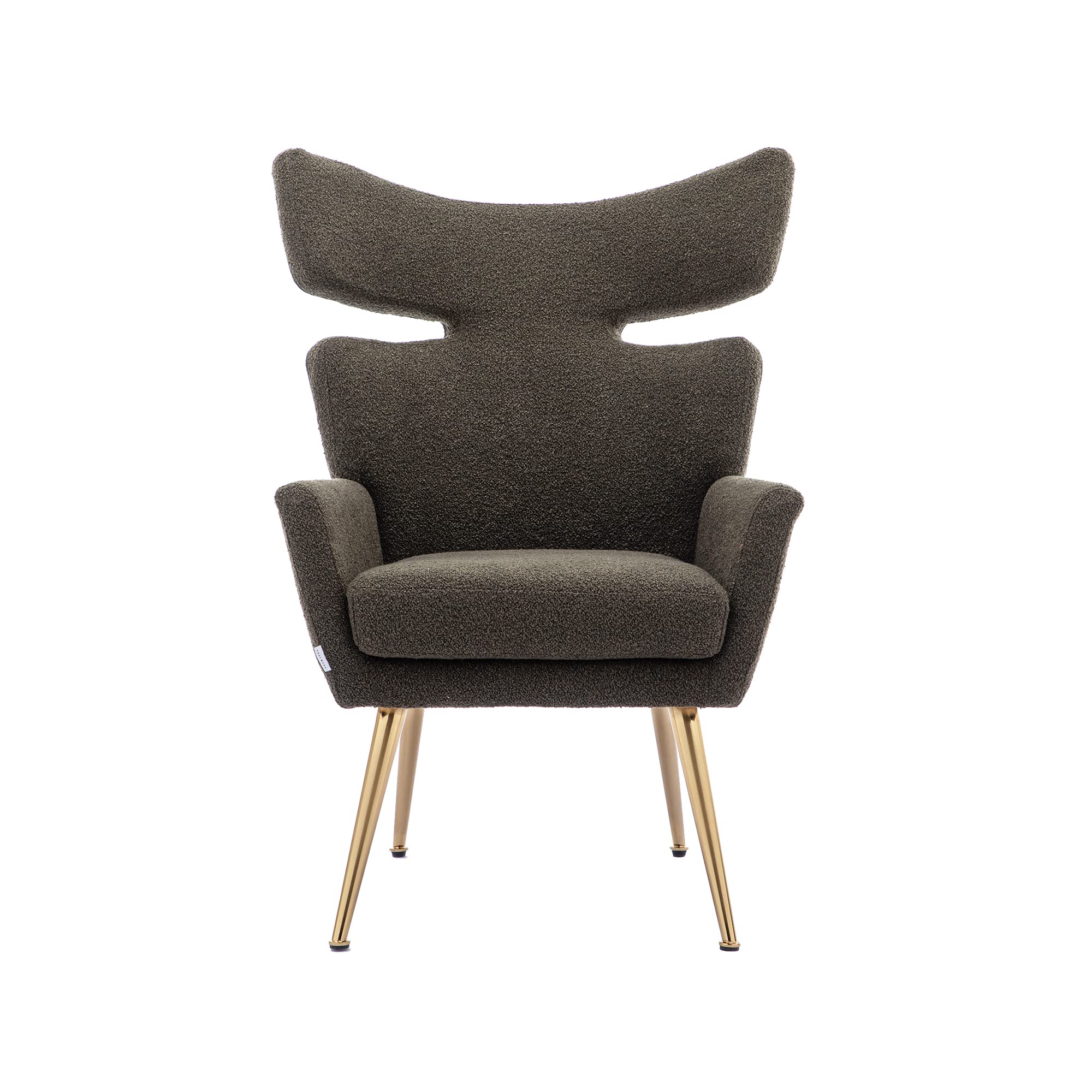 QQU Accent Chair with Arms - Comfy Wingback Chair for Bedroom & Living Room, Fish Tail Teddy Fabric Reading Chair with Upholstered Seat - Lounge Chair for Office, Club & Home Decor (Emerald Green) - Perfect for Relaxing, Reading & Adding Stylish Comfort to Any Space