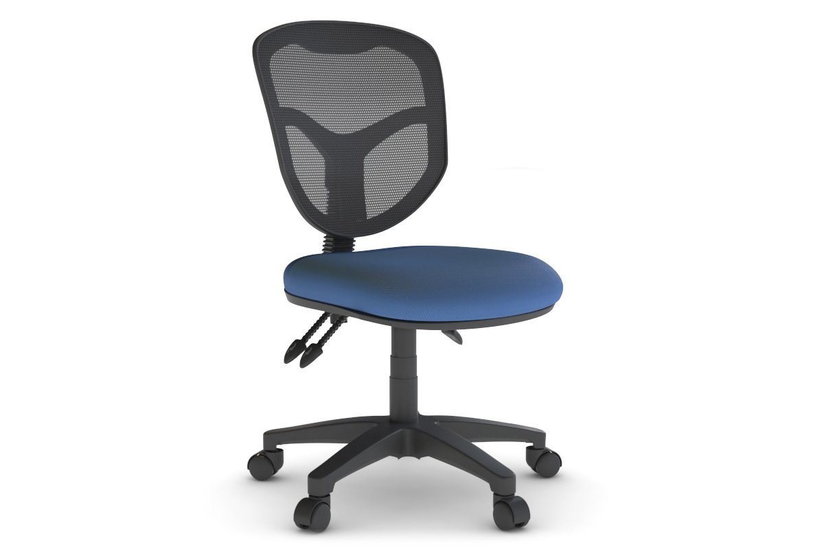 Plover Ergonomic Office Chair with Breathable Mesh Back - Adjustable Lumbar Support & Tilt Function for Home & Office Workspaces