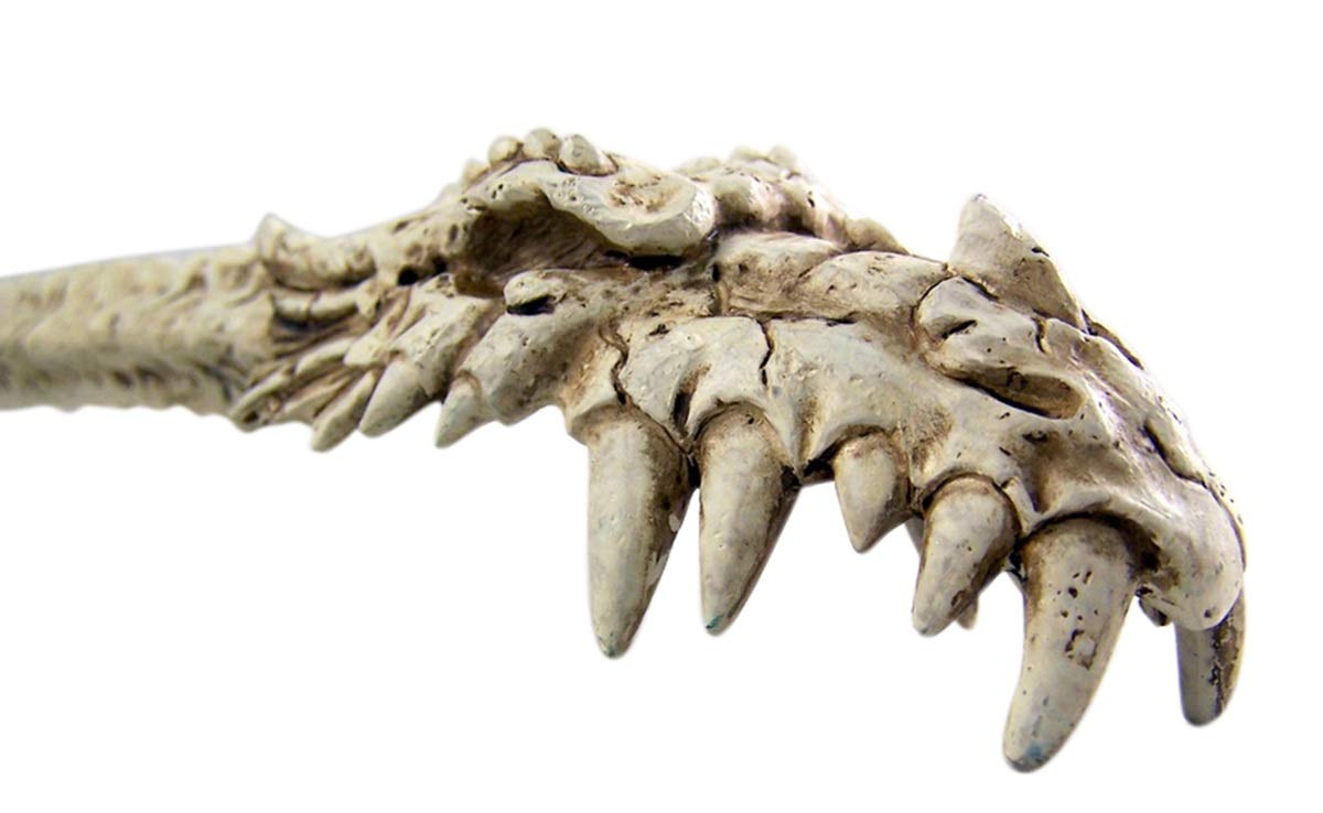 Dragon Spine with Skull Novelty Back Scratcher - 14 Inch Unique Design for Itch Relief | Perfect for Home, Office & Travel Use