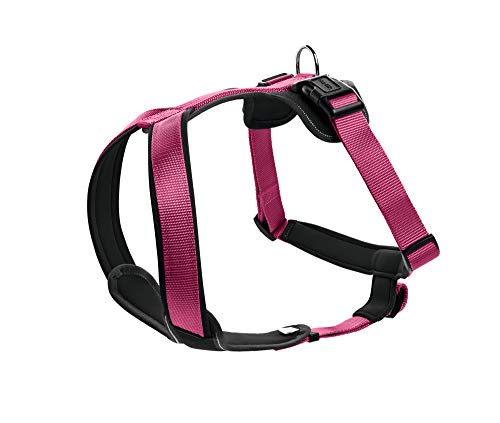 Raspberry/Black