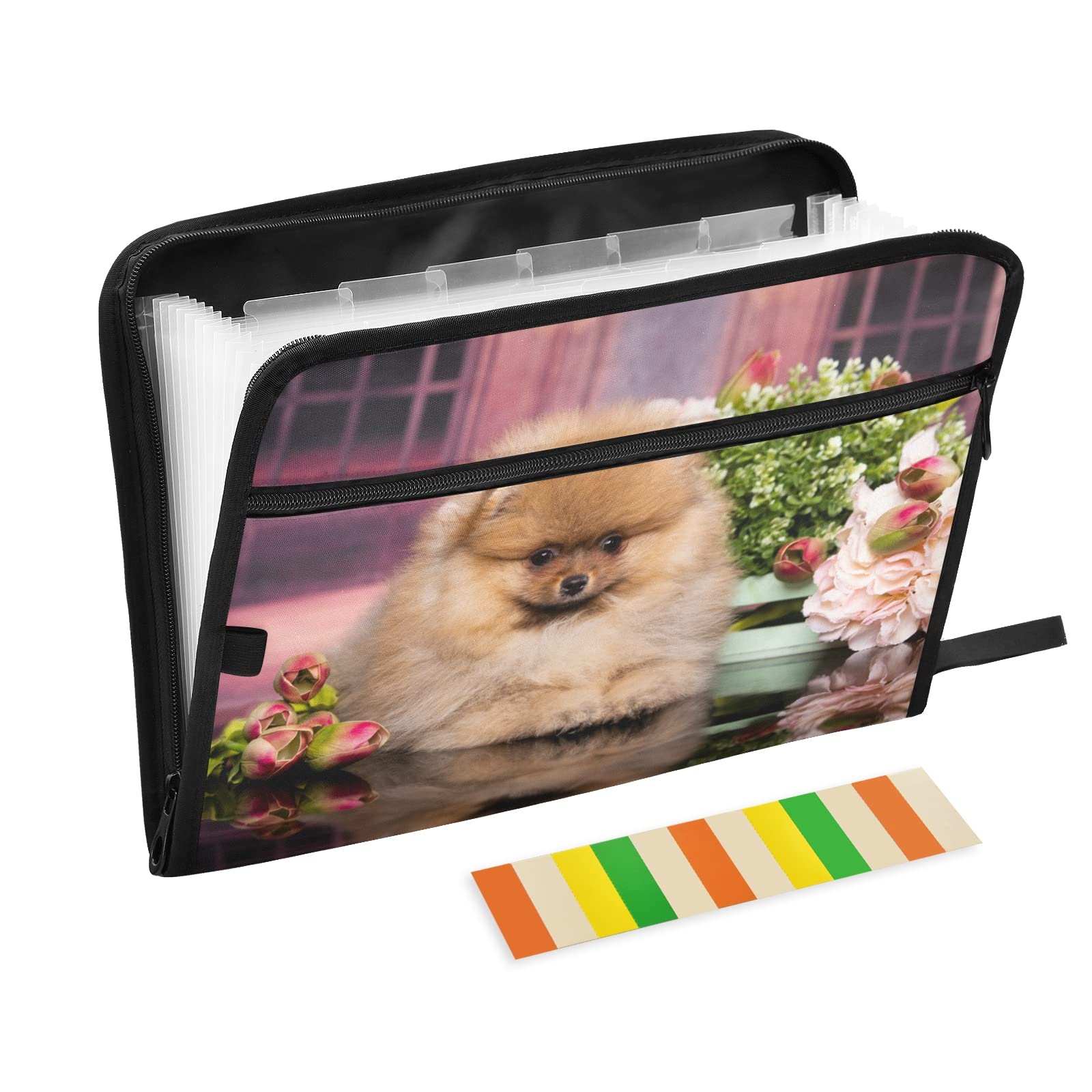 UMIRIKO 13-Pocket Expanding File Folder with Sticky Labels - A4 Letter Size Accordion Organizer, Zippered Document Holder for Office, School, Home & Travel (20220773) | Perfect for Bills, Receipts, Tax Papers & Important Documents