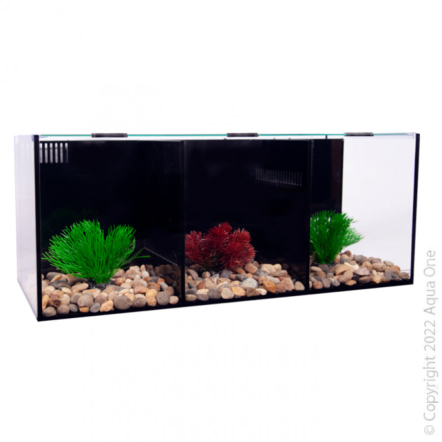 Aqua One Betta Condo Trio 28.9L Fish Tank with Divider - 3 Compartment Betta Fish Habitat for Home or Office Aquarium Setup