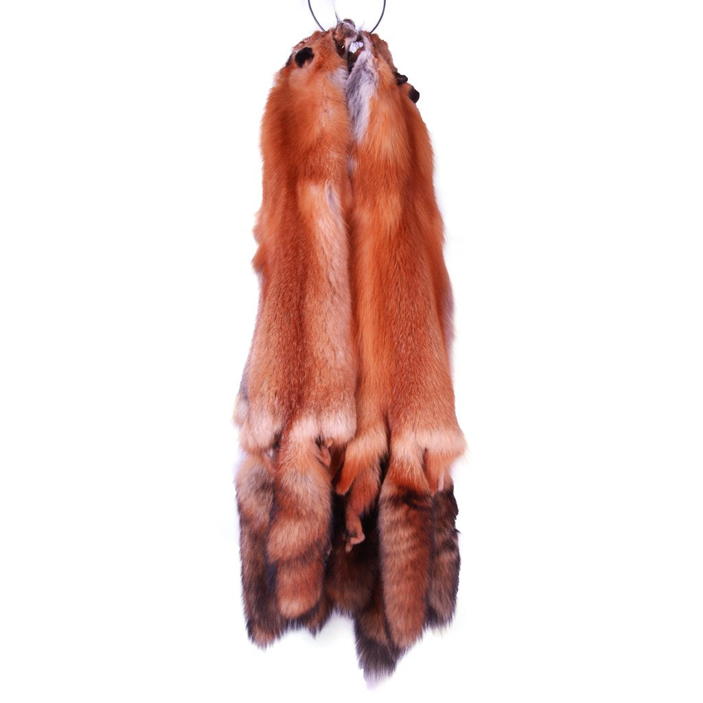 20 Genuine Red Fox Fur Pelts - Premium Quality for Taxidermy, Crafts, and Home Decor | Perfect for DIY Projects, Fashion Accessories, and Rustic Interior Design