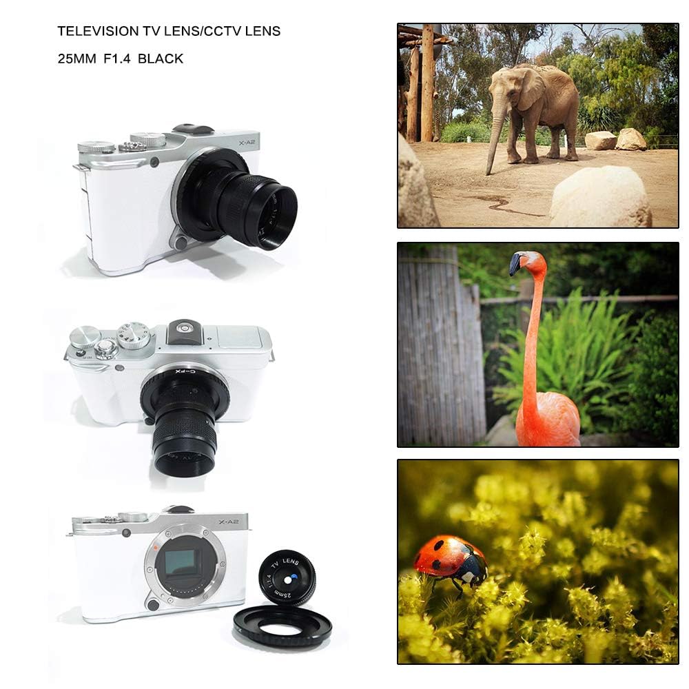 25mm F1.4 CCTV Lens for C Mount Cameras & 16mm C Mount to Micro Four Thirds Adapter - Professional Video & Photography for Filmmaking, Surveillance, and Vlogging