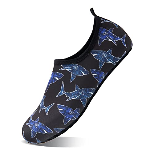 Shark1