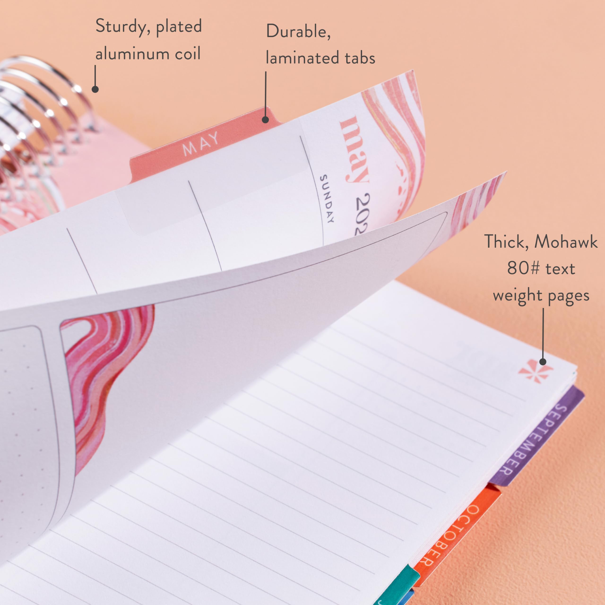 Erin Condren 2024-2025 7x9 Inch Life Planner with Colorful Classic Cover - Vertical Layout, Evolve Theme & Platinum Coil - Perfect for Daily Scheduling, Goal Tracking & Productivity (July 2024 - June 2025)