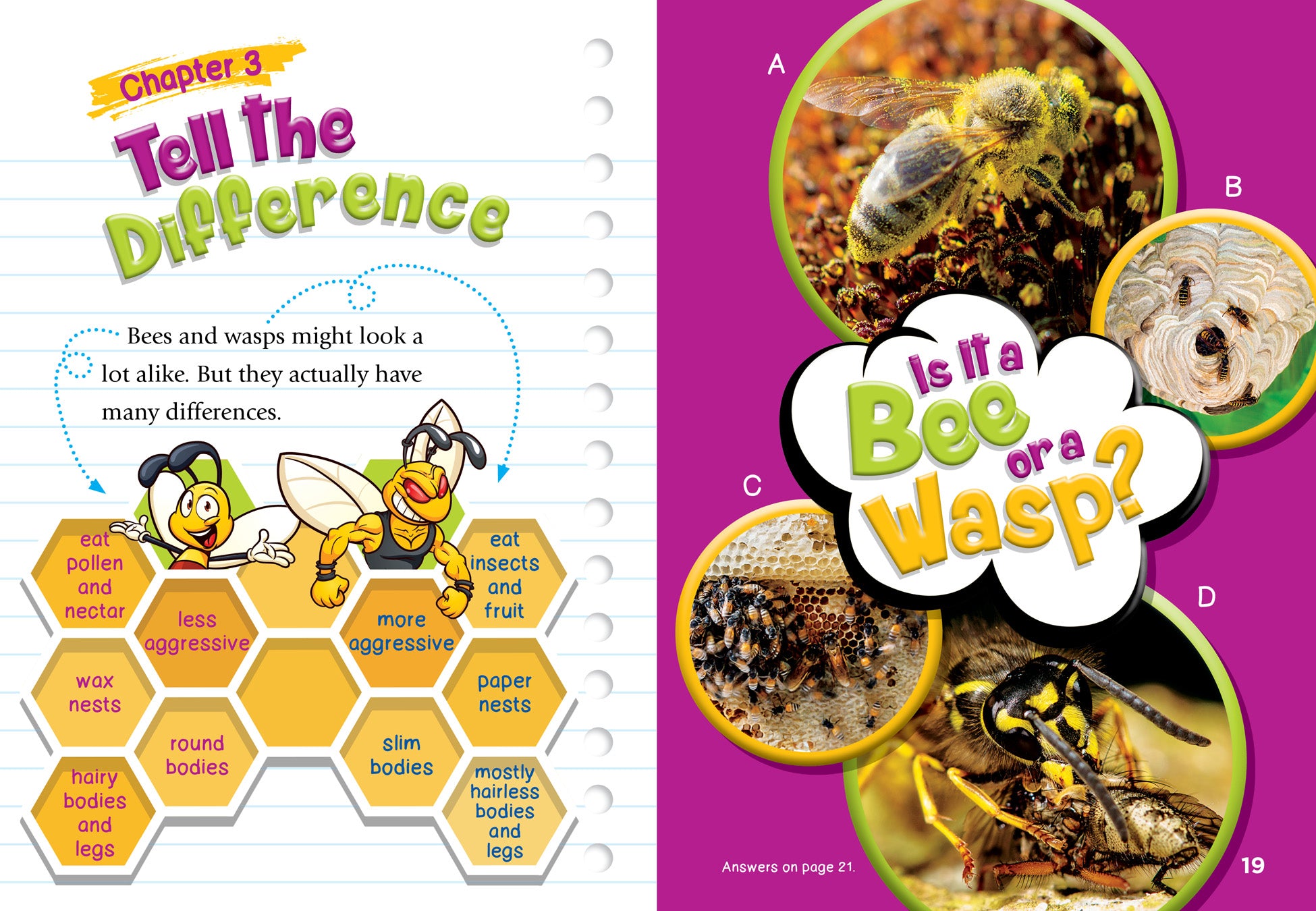 Bee vs Wasp: How to Identify the Difference - Essential Guide for Gardeners & Outdoor Enthusiasts